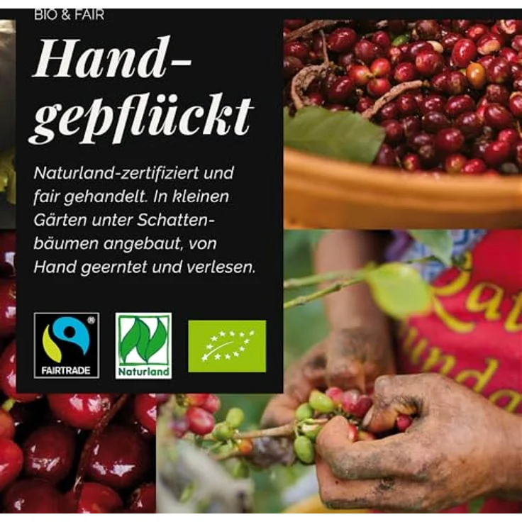 Mount Hagen Röstkaffee, ganze Bohne, FairTrade, 1 kg – Bild 7
