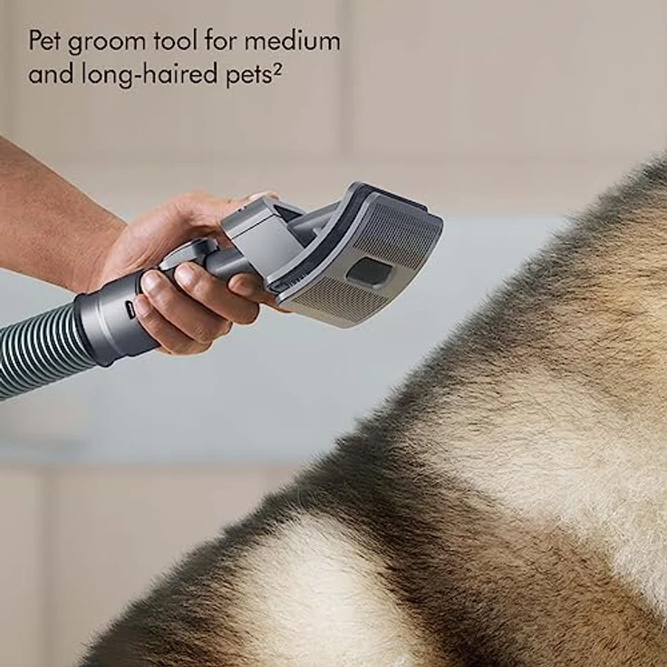 Dyson Ball Animal 3 Extra Staubsauger – Bild 5
