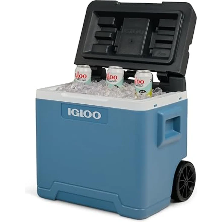 Igloo Kühlbox, 42 l, robuste Kühlung für Reisen und Outdoor-Aktivitäten – Bild 5