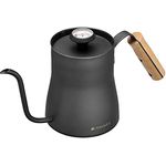 Navaris Wasserkocher Wasserkessel für Kaffee Zubereitung - 1l Schwanenhals Kessel inkl. Thermometer - mit langem Ausgießer und Holzgriff