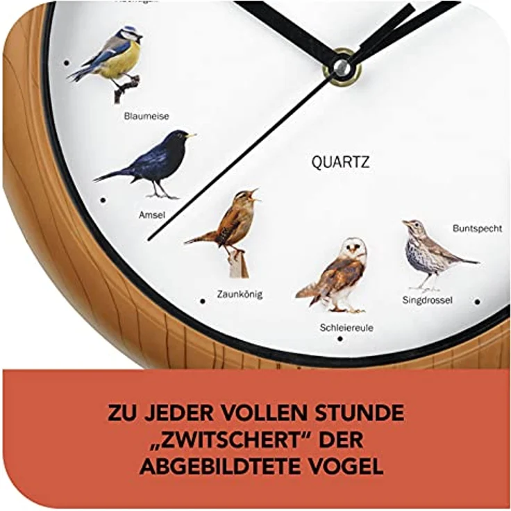 MAXXMEE Wanduhr mit Vogelstimmen, 12 Singvogelstimmen und fluoreszierenden Vogelmotiven, automatische Abschaltung zwischen 21 und 5 Uhr, 25 cm – Bild 2