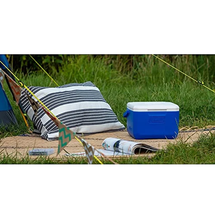 Coleman Performance 6 Personal Kühlbox, passive kleine Thermobox für Essen und Getränke, Eisbox mit Griff, blau-weiß, One Size – Bild 2