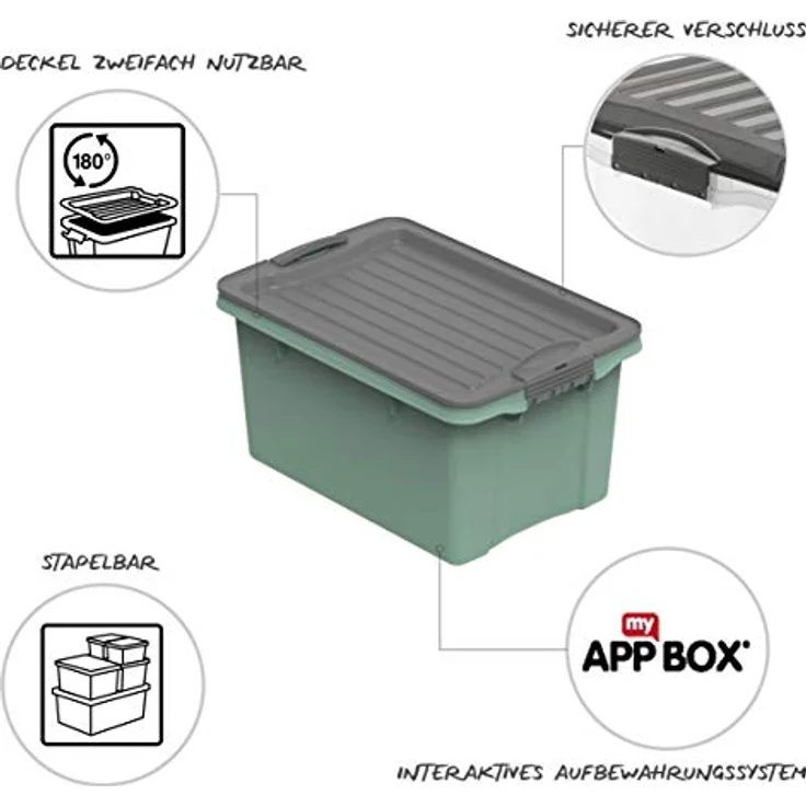 Rotho Compact Aufbewahrungsbox 4,5l mit Deckel, Kunststoff (PP recycelt) BPA-frei, grün, A5/4,5l (27,0 x 18,5 x 15,0 cm) – Bild 3