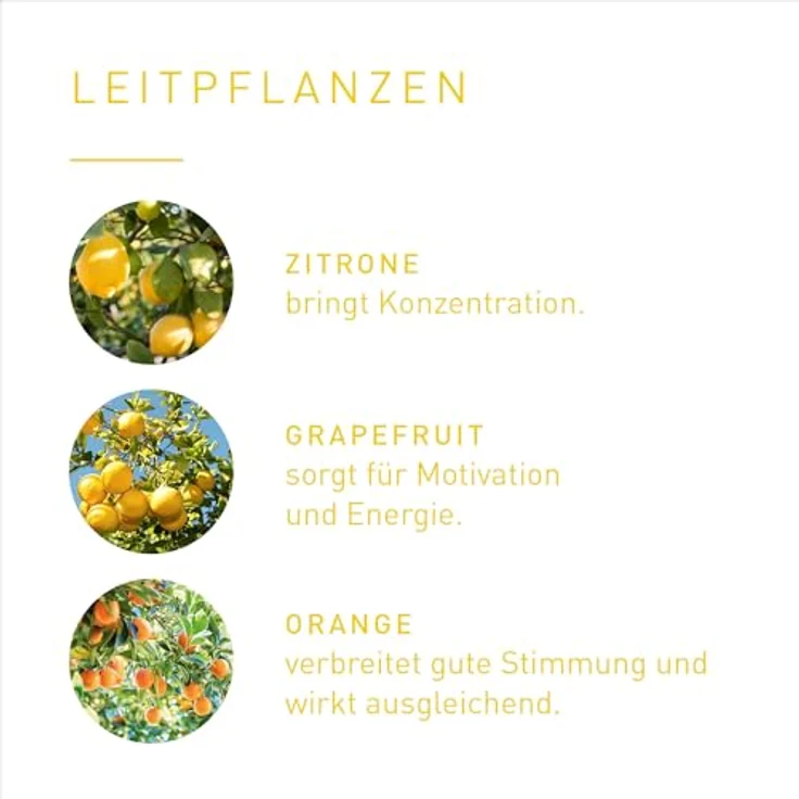 PRIMAVERA Leichter lernen Duftset, Geschenkbox Duftstein und Duftmischung, Aromaöl, Duftöl, ätherisches Öl, Aromatherapie, Geschenk, vegan – Bild 5