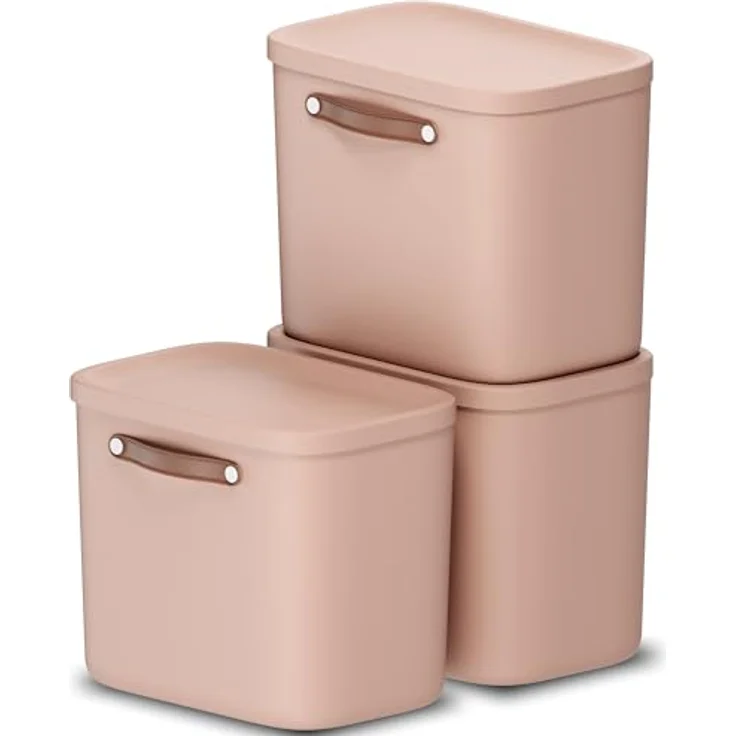 Rotho Maloja 3er-Set Aufbewahrungsbox mit Deckel 25l, Kunststoff, rosa, stapelbar, modular, Trageriemen – Bild 1