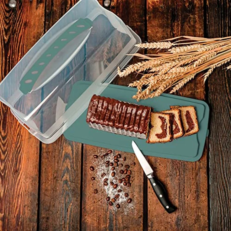 Rotho Fresh Kuchenbehälter mit Haube und Tragegriff, lebensmittelechter Kunststoff (PP) BPA-frei, türkis/transparent, (36 x 16,5 x 16,5 cm) – Bild 2