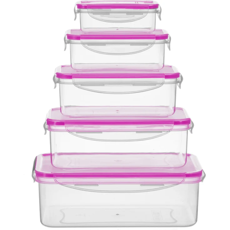 King 5tlg. Kunststoffbehälter-Aufbewahrungs-Set BERRY / 5x rechteckige Boxen, luftdichter Klappverschluss / Größen: 240-2500 ml, Durchsichtig