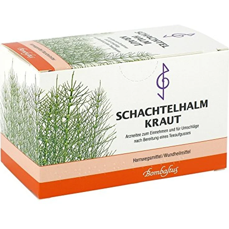 Bombastus-Werke AG SCHACHTELHALMKRAUT Tee Filterbeutel, 40 g, hochwertiger Kräutertee – Bild 2