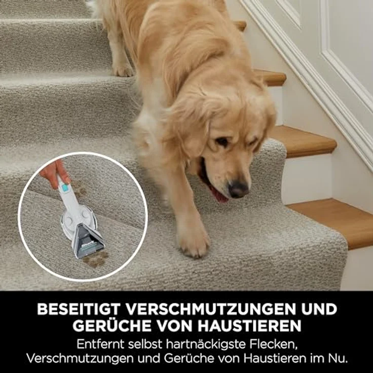 Shark Bodenstaubsauger PX200EUT Fleckenreiniger mit leistungsstarker Saugkraft und vielseitigem Zubehör, grau – Bild 5