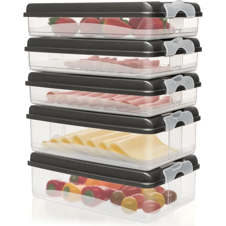 Hausfelder Aufschnittdosen für Kühlschrank, Wurst Aufbewahrung mit Deckel, BPA-frei, stapelbar, spülmaschinengeeignet, Anthrazit, 10-teilig
