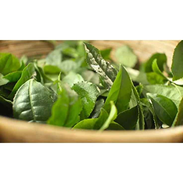 Meßmer Feinster Darjeeling Ganzes Teeblatt, 150g – Bild 6