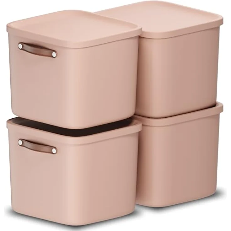 Rotho Maloja 4er-Set Aufbewahrungsbox mit Deckel 40l, Kunststoff, rosa – Bild 1