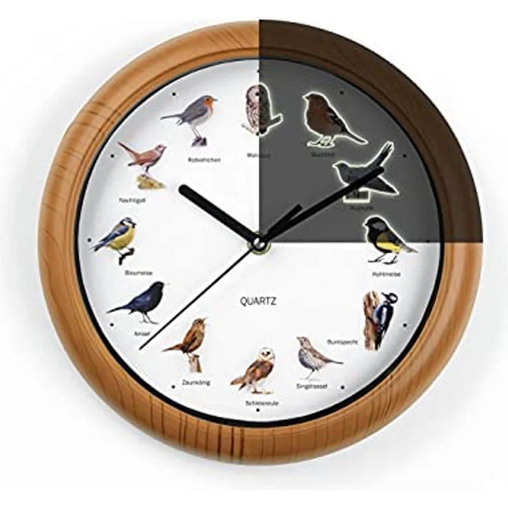 MAXXMEE Wanduhr mit Vogelstimmen, 12 Singvogelstimmen und fluoreszierenden Vogelmotiven, automatische Abschaltung zwischen 21 und 5 Uhr, 25 cm – Bild 1