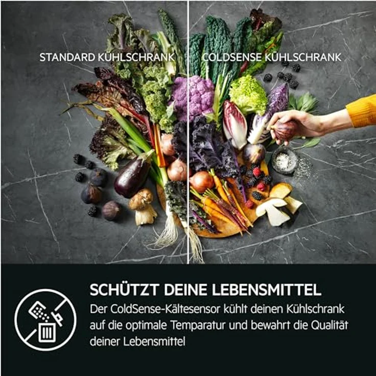 AEG TSC5S142ES Einbau-Kühl-Gefrierkombination / 1446 mm/Gefrierteil unten / 217 L/LowFrost – weniger Eisbildung/Schlepptür/E - Preisvergleich – Bild 4