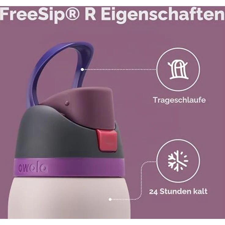 Owala FreeSip Edelstahl Trinkflasche mit Strohhalm, 945 ml – BPA-frei, isoliert, für Sport und Outdoor, Dreamy Field – Bild 2