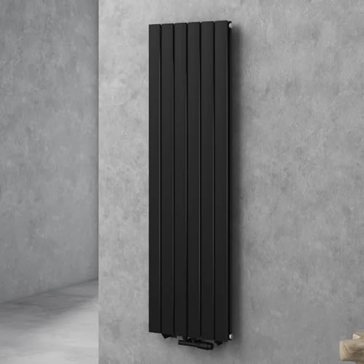 doporro Vertikal Badeizkörper Badheizung 160x46cm, Anthrazit, doppellagig, korrosionsbeständig – Bild 1