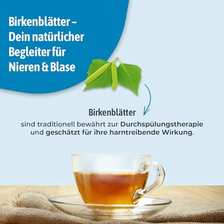 Bad Heilbrunner Bio Nieren- und Blasentee - Pyramidenbeutel – Bild 5