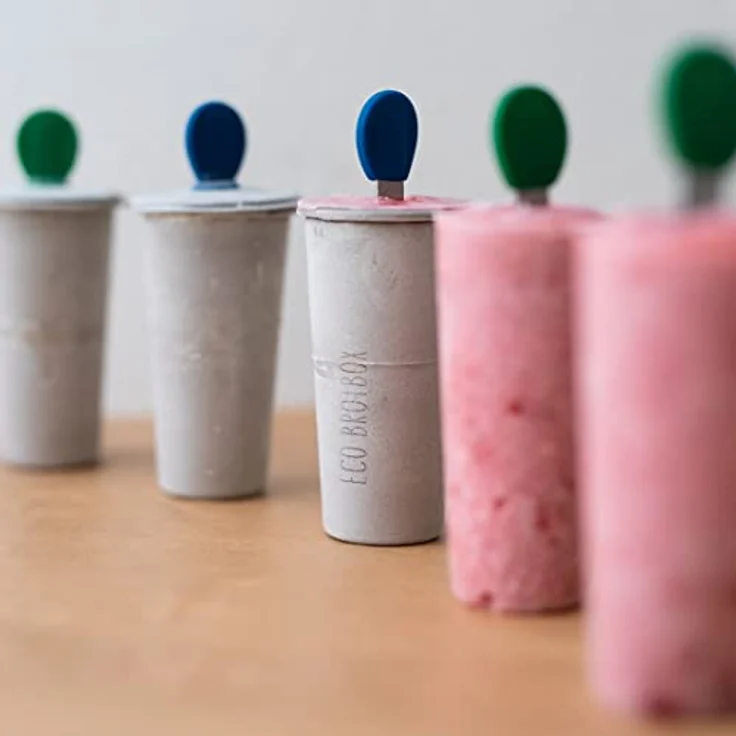 ECO Ice Pops 6C von ECO Brotbox aus Edelstahl | spülmaschinenfest mit 6 x 70 ml Füllvolumen | Eisformen aus Edelstahl für Eis am Stiel zum Selbermachen für Kinder und Erwachsene – Bild 2