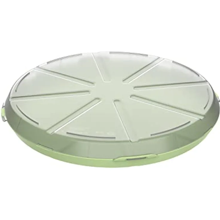 elasto Pizzabox 'ToGo', BPA-freie und wiederverwendbare Kunststoff-Aufbewahrungsbox aus recycelbarem Material, geselliges grün/transparent