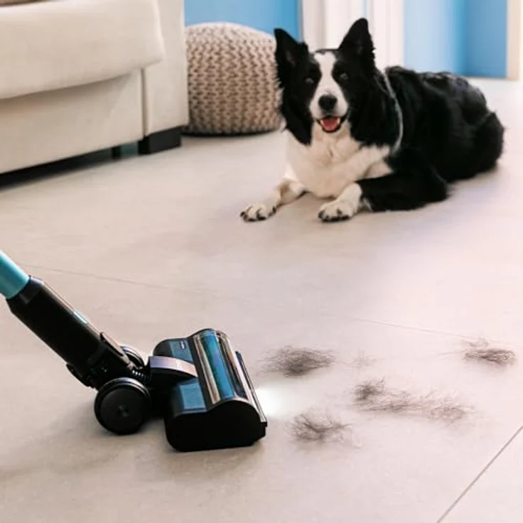 Cecotec Conga Rockstar 3500 Storm Pet Flex, Kabelloser Stielstaubsauger mit 500W, 150AW, 70 Min Laufzeit, Anti-Verhedderungsbürste und Zubehör für Haustiere und Möbel – Bild 5