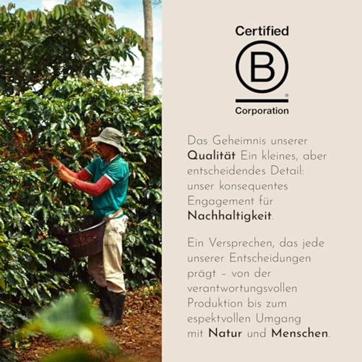 illy Kaffee, Gemahlener Espresso klassische Röstung - 1 Dose zu 125 g – Bild 6