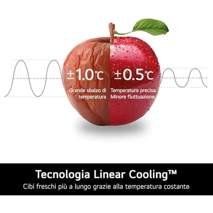LG GSBC40PYPE Amerikanischer Kühlschrank, 635 L, Linear Cooling, Total No Frost, Silber – Bild 6