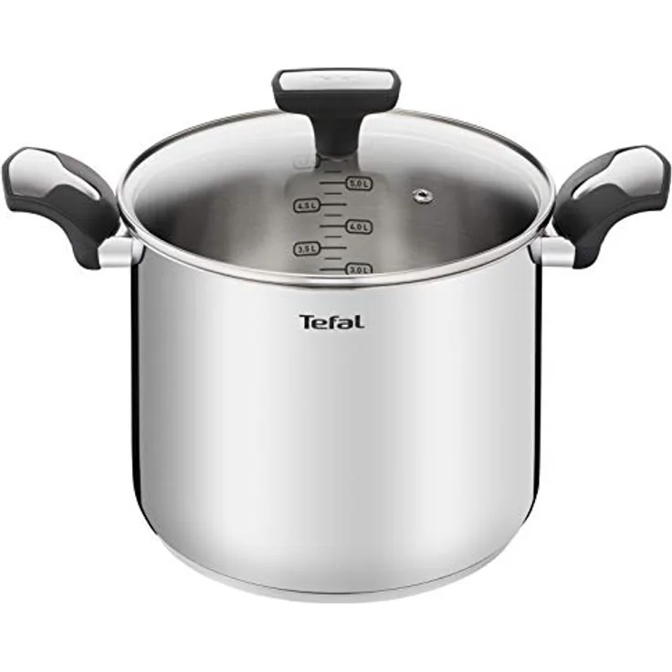 Tefal Emotion Kochtopf, hoch, 22 cm, 6 l, Edelstahl, dicker Boden für gleichmäßige Hitzeverteilung, elegantes Design, robuste Griffe, Glasdeckel, Induktion E3016104, Cranberry