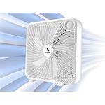 BEPER P206VEN550 Box Ventilator 50 cm - Box Fan, Konzipiert für Große Umgebungen