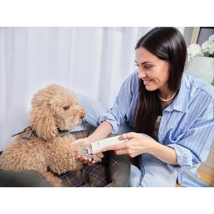 ETA Handstaubsauger Pet Master I, Handstaubsauger mit Fellpflege-Aufsätzen, 3 Saugkraftstufen, Dreifach-Filtersystem, 1,4-Liter-Behälter, Touch-Bedienung mit LED-Panel, Bürsten mit Selbstreinigungsfunktion – Bild 5