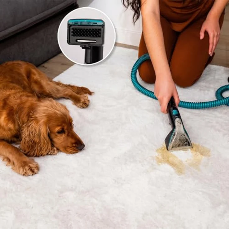 Cecotec Conga 7000 Carpet&Spot Clean Steam XXL Pro, Polsterreiniger mit 1700 W, 3-in-1-Funktion, Dampf- und Heißwasserreinigung, 15 Zubehörteile, 9 m Aktionsradius – Bild 7