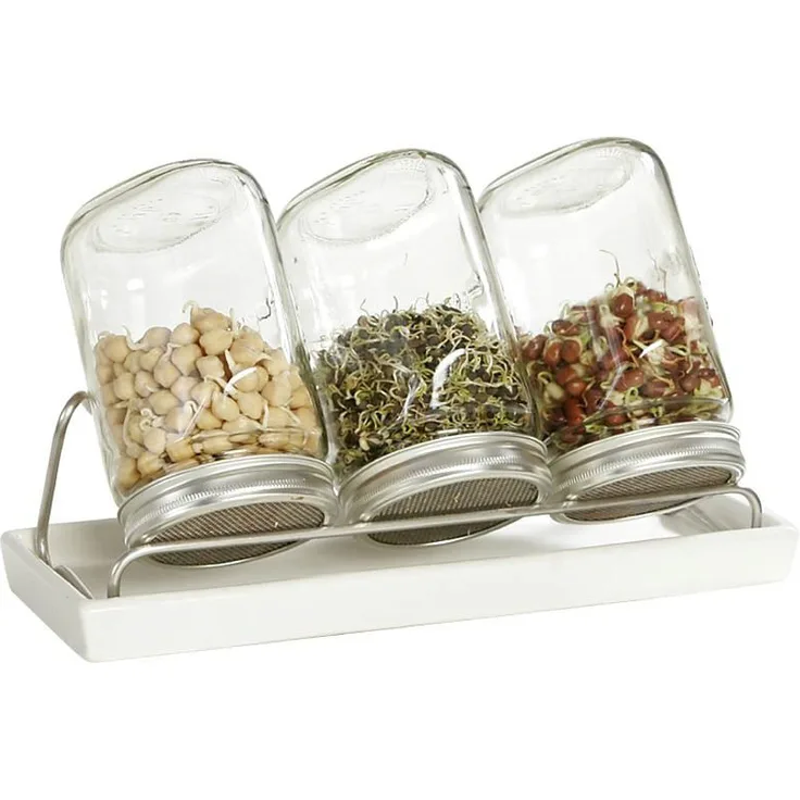 Eschenfelder Sprossengläser Set mit Edelstahlgestell 