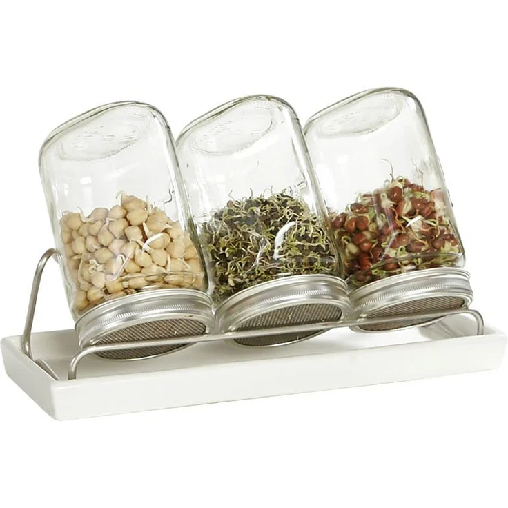 Eschenfelder Sprossengläser Set mit Edelstahlgestell 