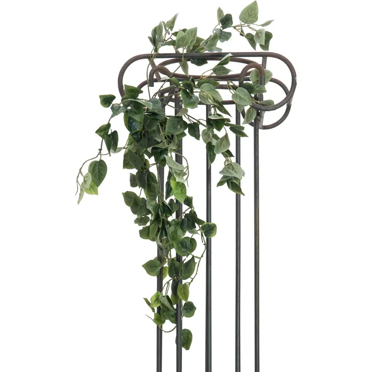 Europalms Filodendro Cespuglio Classico, 60 cm, grün