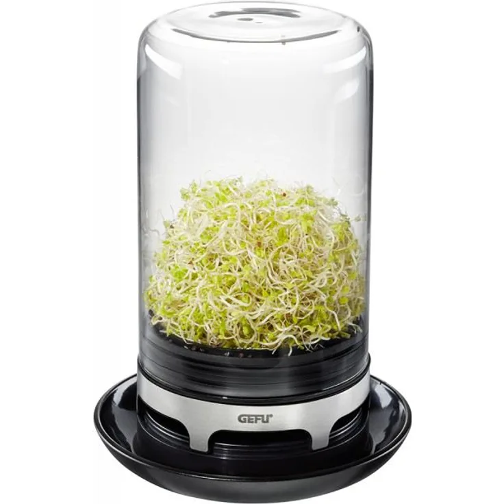 Gefu 18910 Sprossenglas Bivita aus Glas für Keimsaaten wie Alfalfa, Mungbohnen, Radieschen, Kichererbsen und Linsen