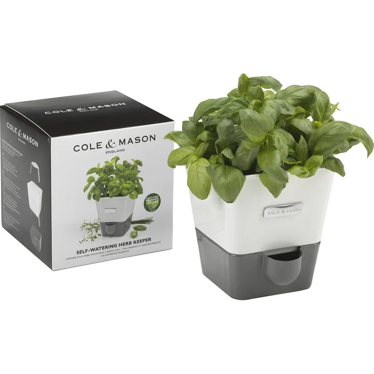 Cole & Mason Selbstbewässerungssystem für 1 Kräutertopf, White, Single