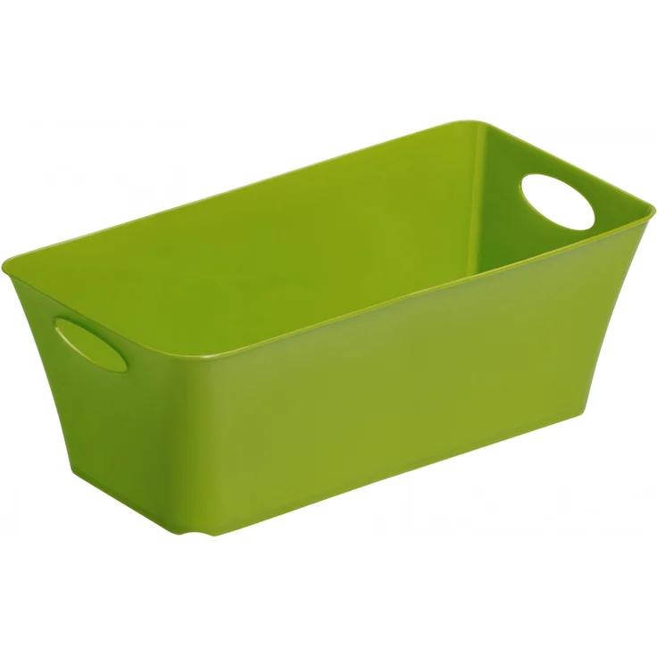 Rotho Aufbewahrungsbox Living 2 l 25,2 x 13,4 x 9 cm (L x B x H)