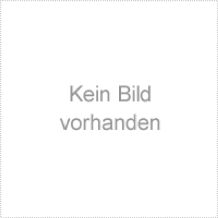 Fein 31345120010 electro-conductive Saugschlauch, mehrfarbig