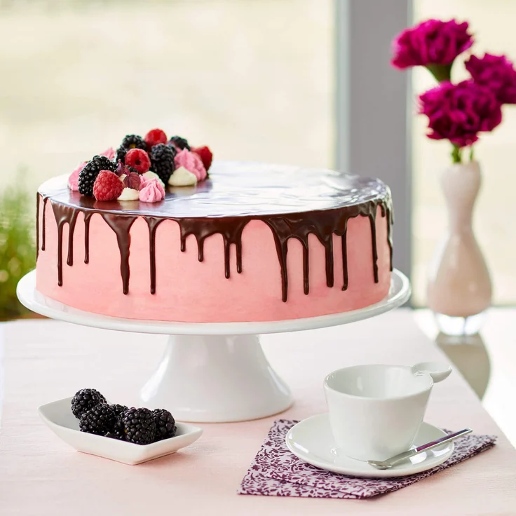 Dr. Oetker Exclusive Springform mit le-Boden, Ø26cm – Bild 3