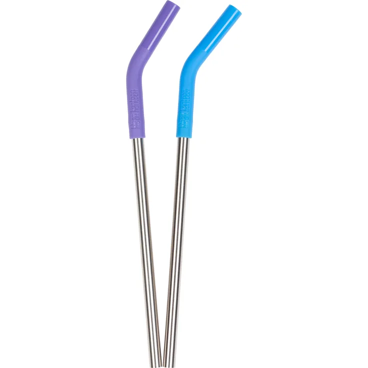 Klean Kanteen Trinkhalme aus Edelstahl 8mm - 2er Set