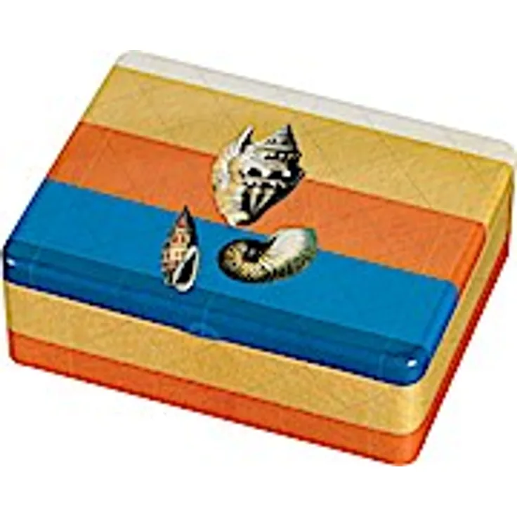James Cook Teebox - Motiv Muscheln