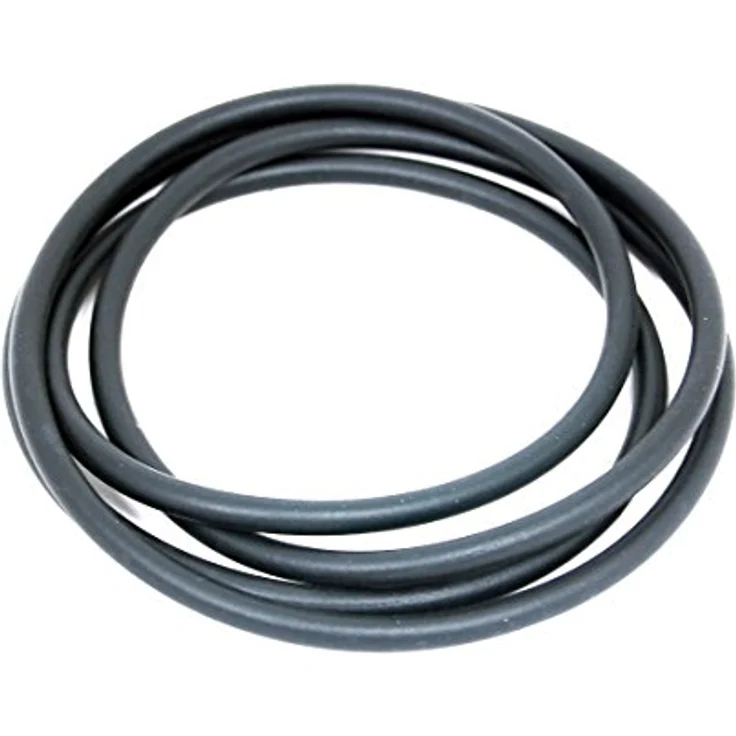 Bauknecht Waschmaschinentrommel Backplate Dichtung Seal. Original-Teilenummer 481253058101 C00311501