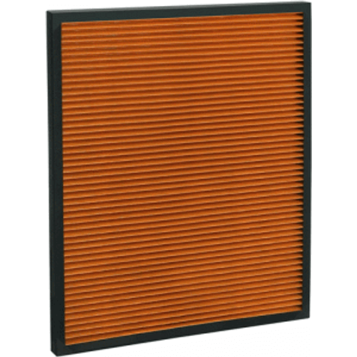 Ideal Health Filter PM2.5 antibakteriell für AP100