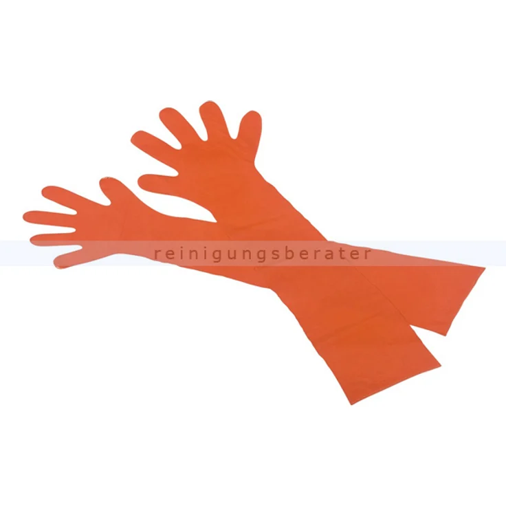Ampri Veterinärhandschuhe Med Comfort PE L – Bild 1