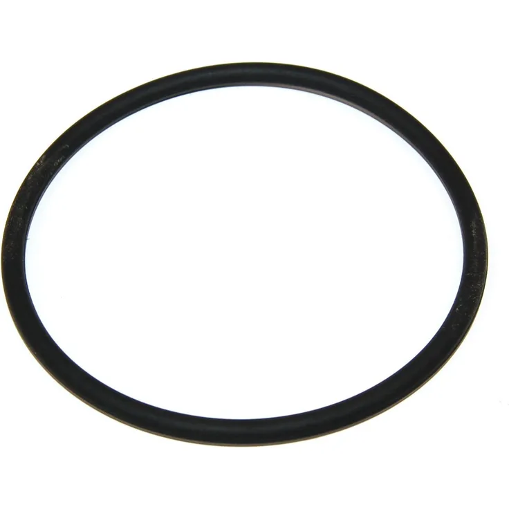 Bauknecht Geschirrspüler O-Ring-Dichtung. Original-Teilenummer 481253058141 C00311339