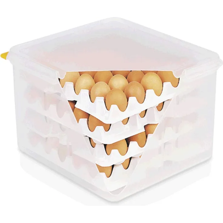 WAS 8623 120 Polypropylen HACCP Eierbox, 35.4cm x 32.5cm x 20cm