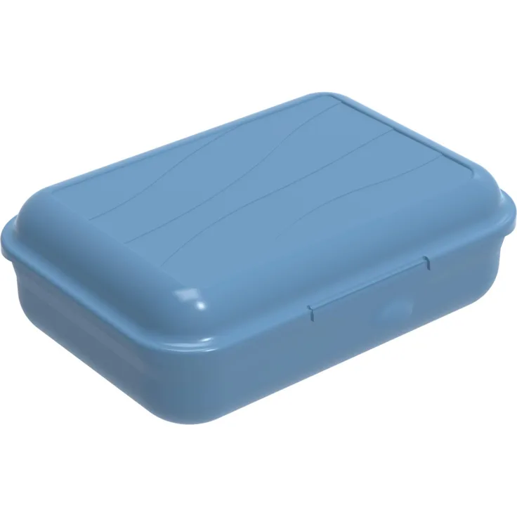 Rotho Fun Vesperdose 0,9l mit herausnehmbarer Trennwand, Kunststoff PP BPA-frei, blau, S-0,9l 17,7 x 12,9 x 6,0 cm