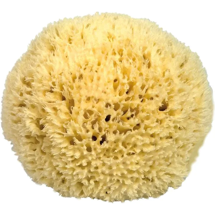 Naturschwamm , Badeschwamm , Dekoschwamm Mittelmeer Premium - ca. 18cm