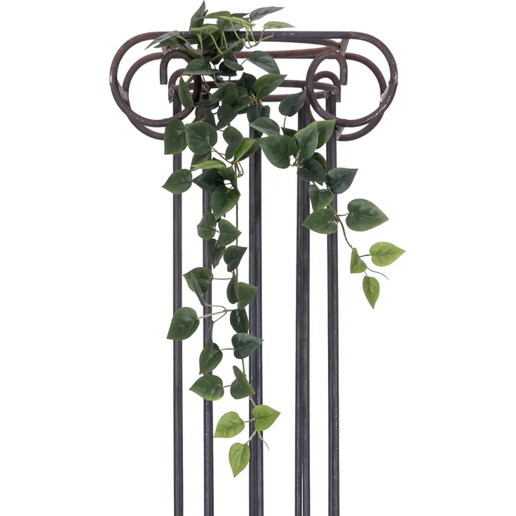 Europalms Filodendro Cespuglio Classico, 70cm, grün