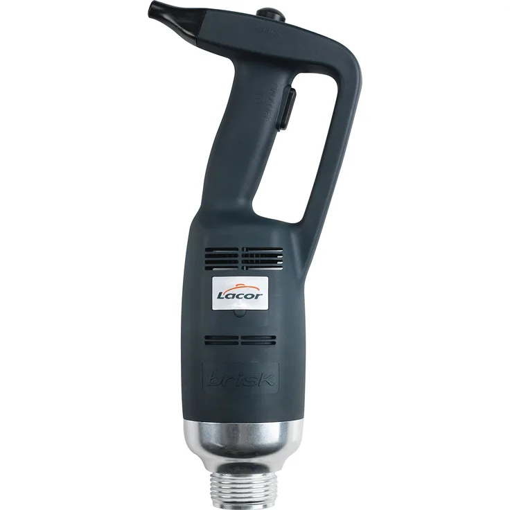Lacor 69751 Kopf mit Motor für Schneebesen PROFI-Serie Variable W, 500 W