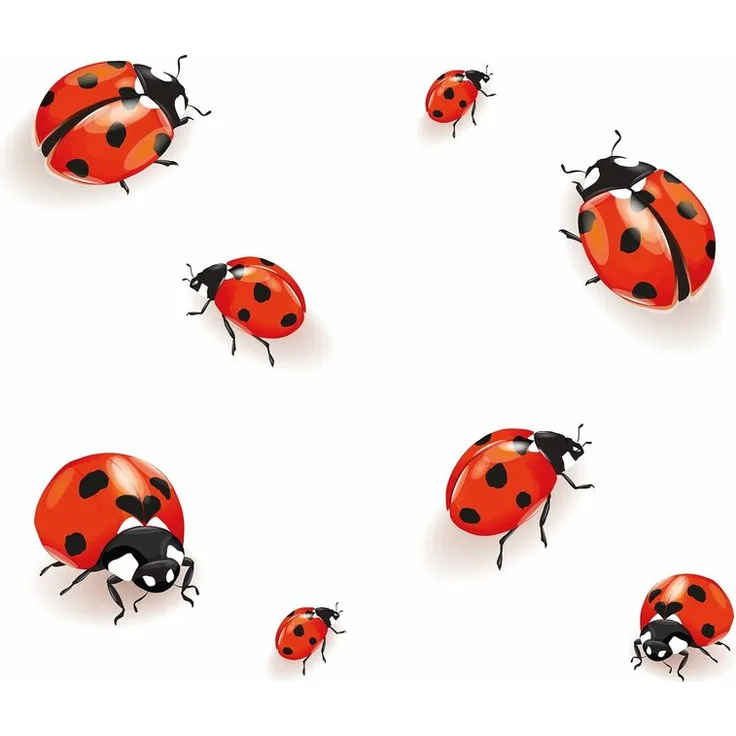 Wenko Abdeckpl. Univ. 2er MARIENKÄFER